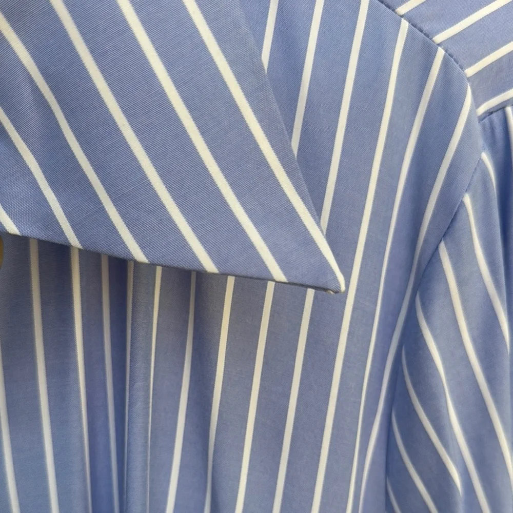 Zara Blue Striped Women's Dress - Picture 2 of 3
